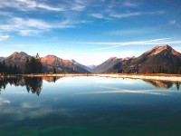 读神马电影用反向读法：先把结论拆成两步，再回头看评论区是不是改写