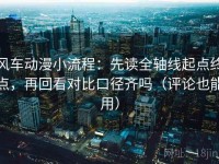 风车动漫小流程：先读全轴线起点终点，再回看对比口径齐吗（评论也能用）