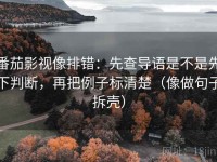 番茄影视像排错：先查导语是不是先下判断，再把例子标清楚（像做句子拆壳）