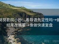 努努影院小抄：看导语先定性吗→做结尾改摘要→像做快速复盘